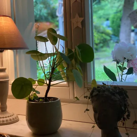 Familienfreundliches 