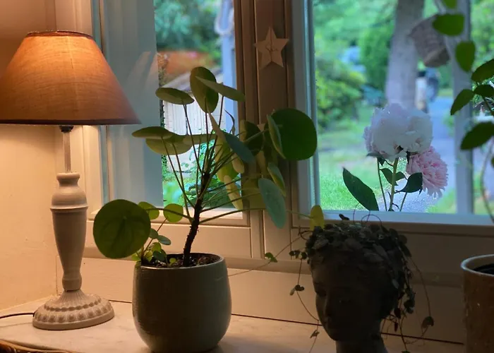 Familienfreundliches 