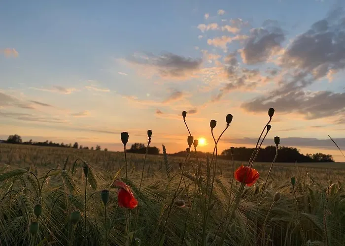 בית נופש Familienfreundliches 